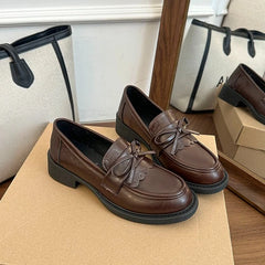 Cyflymder Vintage Slip on Women Elegantes Mary Jane Shoes Fashion Butterfly-knot Shoes for Woman Ladies Thick Heel Dress Loafer Shoes