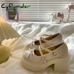 Cyflymder Back To School Women’s Chunky Heel Mary Janes Shoes Spring Round Toe Pumps Platform For