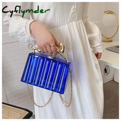 Cyflymder Luxury Designer Transparent Pvc Women’s Handbag Fashion Chain Crossbody Bag Box Animal
