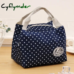 Lunch Bag Insulated Cold Stripe Picnic Carry Case Thermal Portable Box Bento Pouch Container Food
