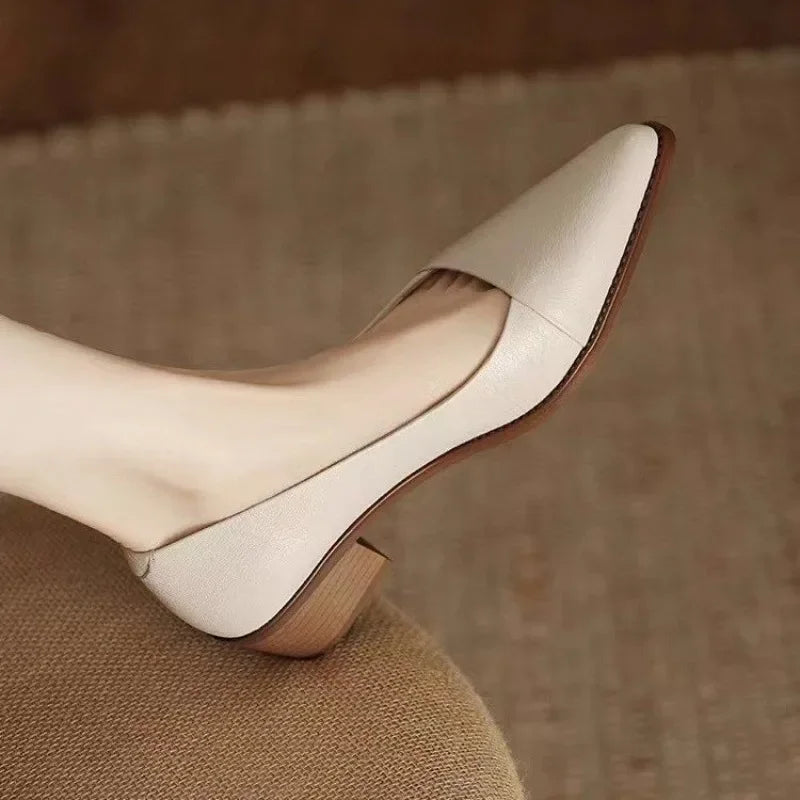 Cyflymder  Women's Coarse Heel Shoes Spring New Pointed Head Shallow Mouth Soft Sole Waterproof Non-slip Low-top Shoes