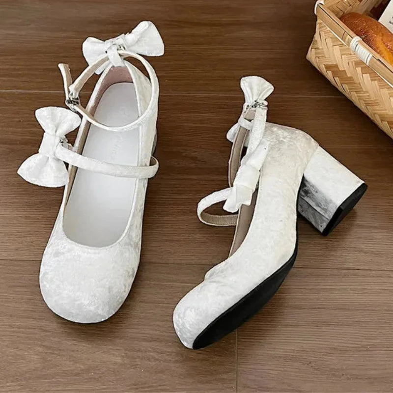 Cyflymder High heeled Mary Jane shoes Women New French Velvet Thick Heel Pumps Female Square Heel Single Shoes White Party Sandals