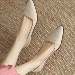 Cyflymder  Women's Coarse Heel Shoes Spring New Pointed Head Shallow Mouth Soft Sole Waterproof Non-slip Low-top Shoes