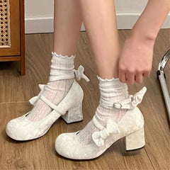 Cyflymder High heeled Mary Jane shoes Women New French Velvet Thick Heel Pumps Female Square Heel Single Shoes White Party Sandals