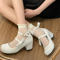 Cyflymder High heeled Mary Jane shoes Women New French Velvet Thick Heel Pumps Female Square Heel Single Shoes White Party Sandals