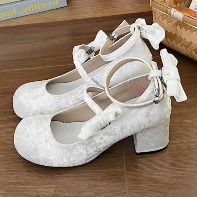 Cyflymder High heeled Mary Jane shoes Women New French Velvet Thick Heel Pumps Female Square Heel Single Shoes White Party Sandals