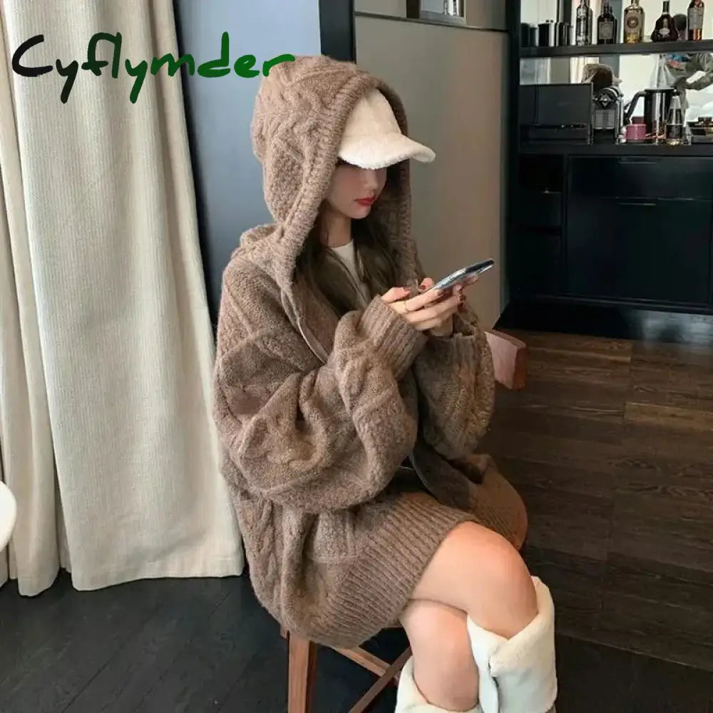 Korean Knit Cardigan Hooded Women Fashion Winter Casual Loose Zipper Thick Sweater All Match Female Streetwear Coats New Cyflymder