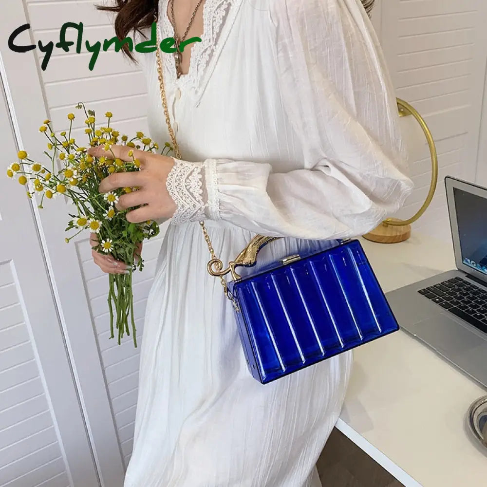 Cyflymder Luxury Designer Transparent Pvc Women’s Handbag Fashion Chain Crossbody Bag Box Animal