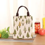 Female Lunch Food Box Bag Fashion Insulated Thermal Food Picnic Lunch Bags for Women Kids Men Cooler Tote Bag Case